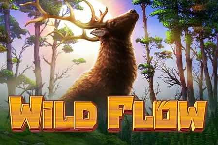Wild Flow